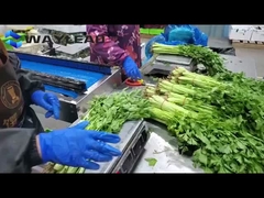 Snack Biscuits Pillow Packing Machine Automatic Confectionery Packaging Equipment