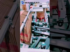 Automatic Bottle Carton Packer Machine 0.2KW Power Carton Opening Machine