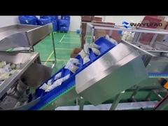 Automatic Packaging Line