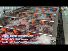1kg tomato can packaging machine