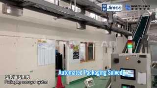Automated Packaging Line: Bag to Pallet