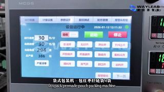 Fast Liquid Pouch Packaging Machine WG250