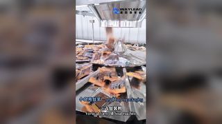 VFFS Packaging Machine for Food Granules Liquids Powders