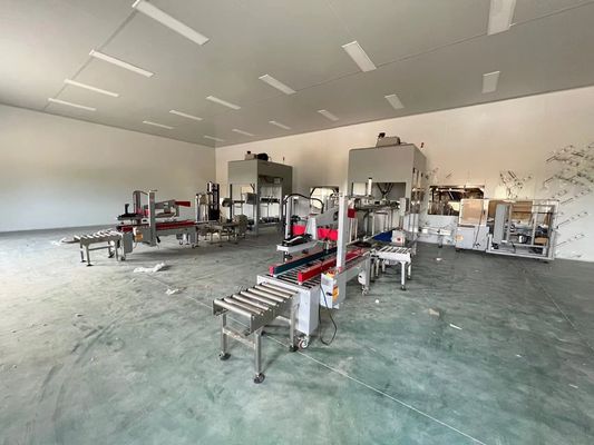 Forming Function Automatic Packaging Line 35-150 Bags/min For Carton Size 250-350g/m2