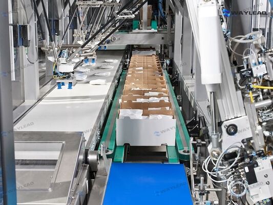 Automatic Spider Hand Robot Carton Packing Machine | 30-120 Packs/Min